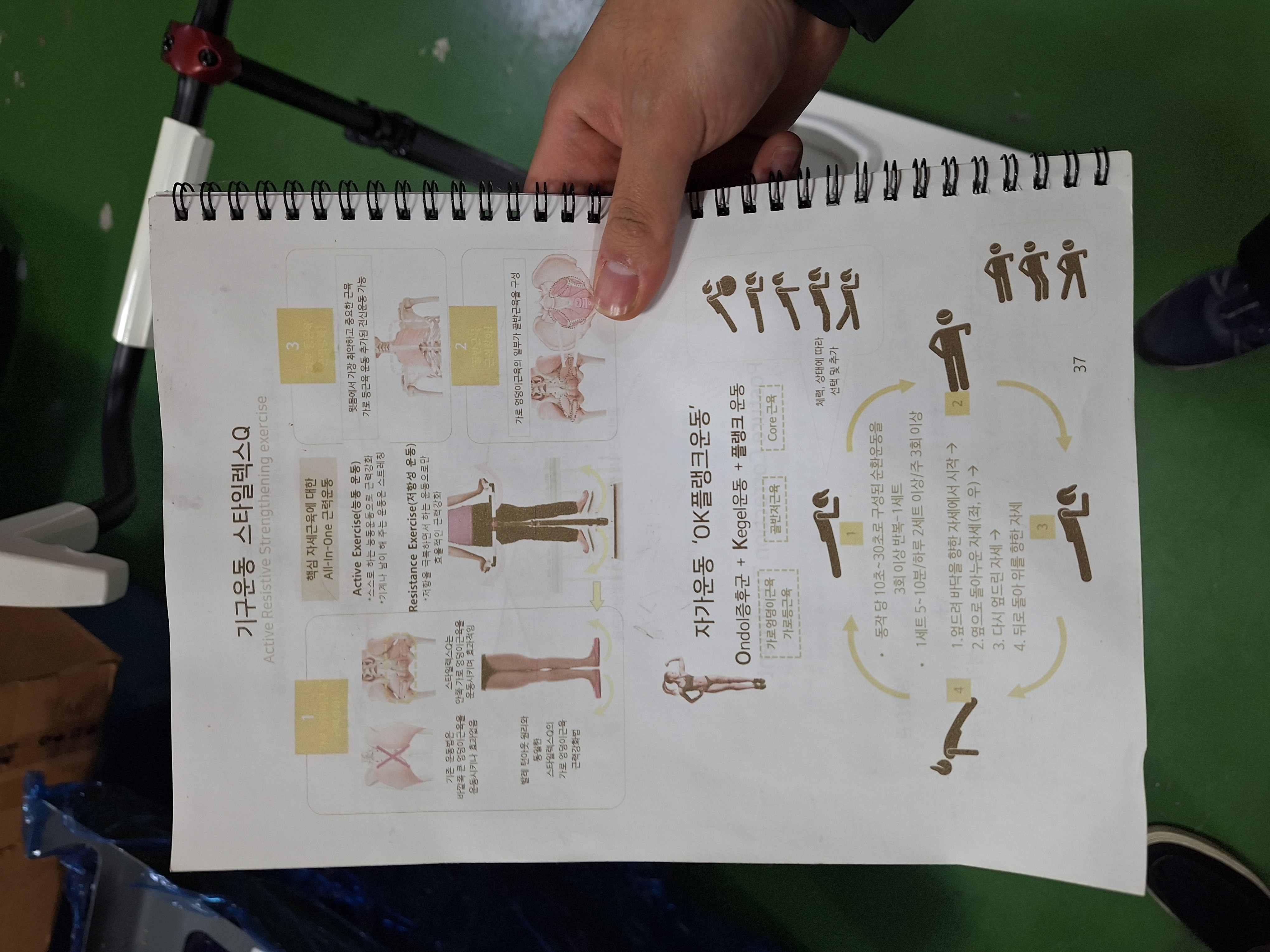 중고 STYLEXQ 자세교정기