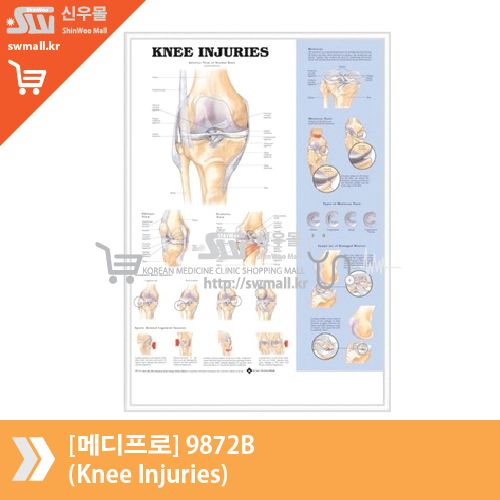 [메디프로]9872B(Knee Injuries)