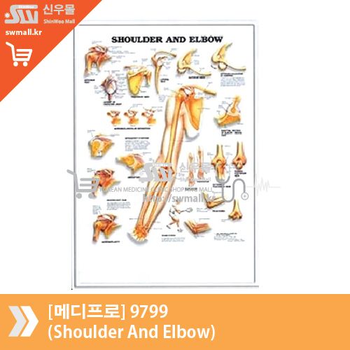 [메디프로]9799(Shoulder And Elbow)