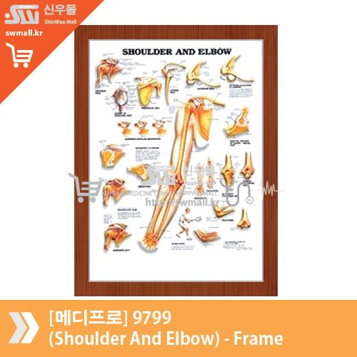 [메디프로]9799(Shoulder And Elbow)