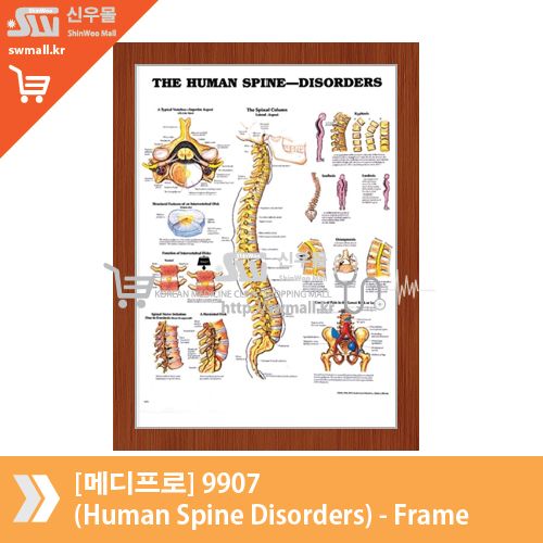 [메디프로]9907(Human Spine Disorders)